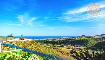 Finca_Gran_Canaria_venta_9.jpg